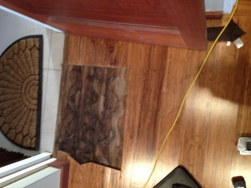 A cut out section of the flood-damaged laminate floor before the metallic epoxy floor was installed.