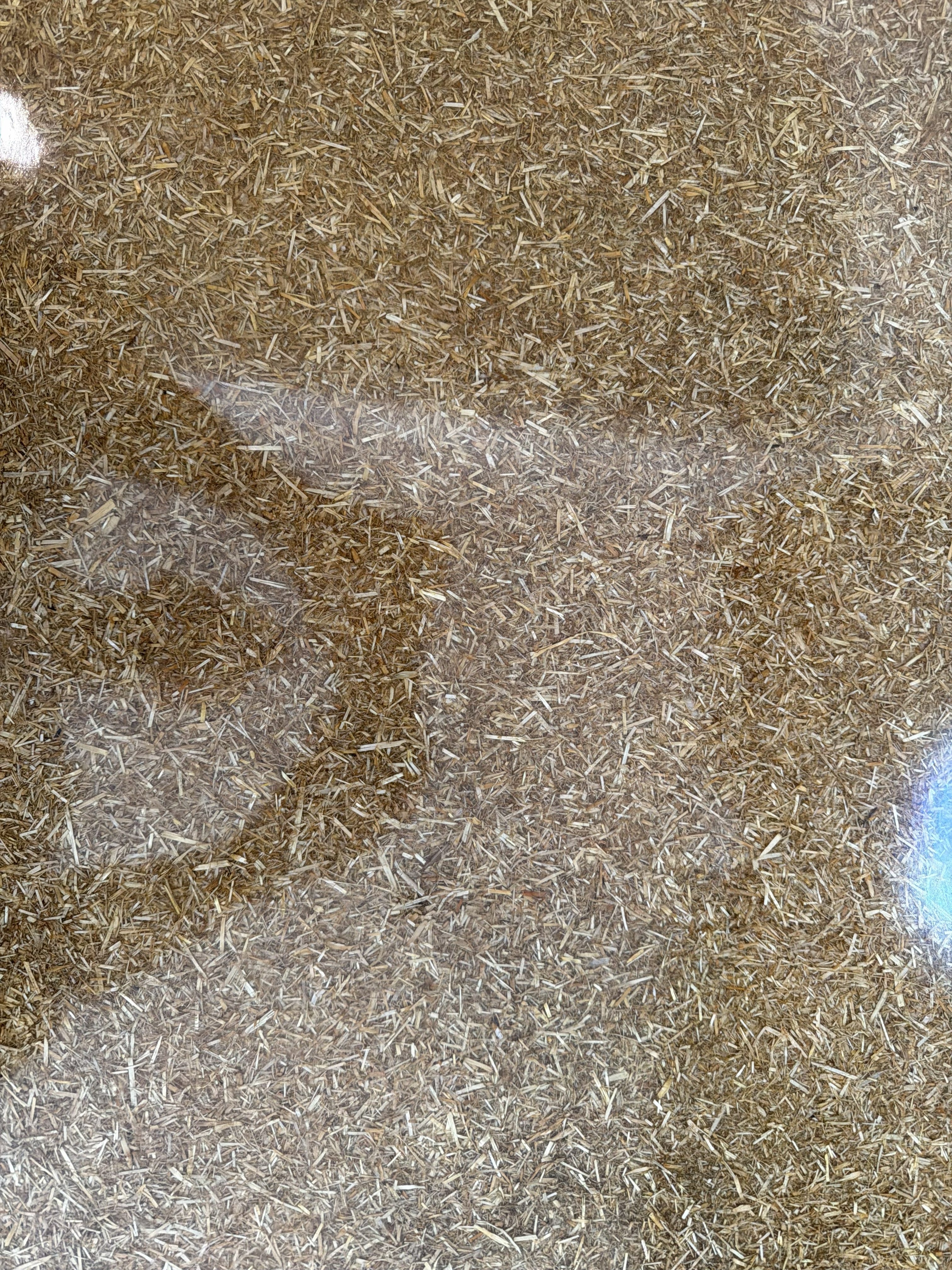 A low angle shot of the vibrant signal red non-slip epoxy floor showing the aggressive non-slip texture required in the abattoir.