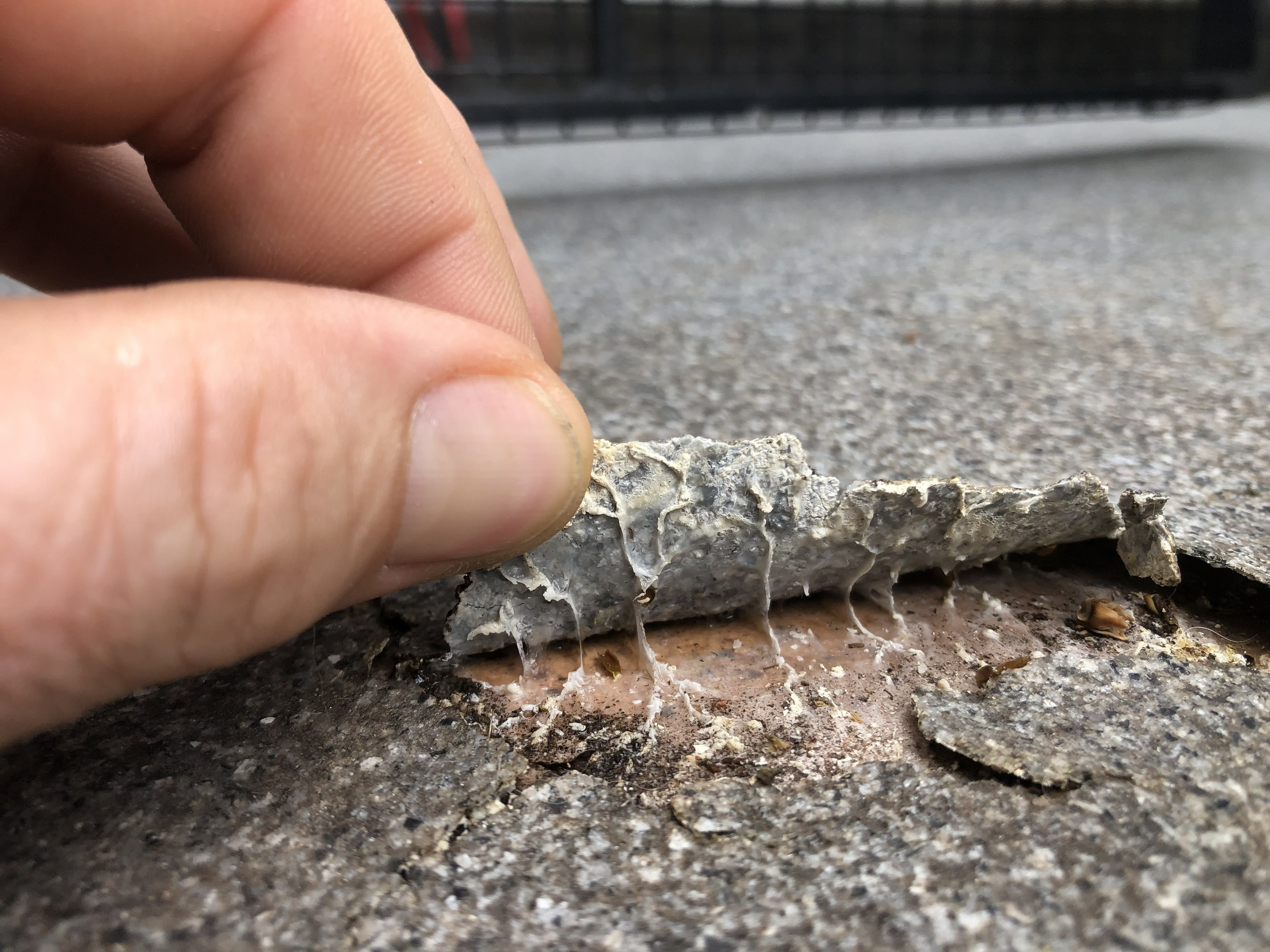 sticky coating over exterior tiles